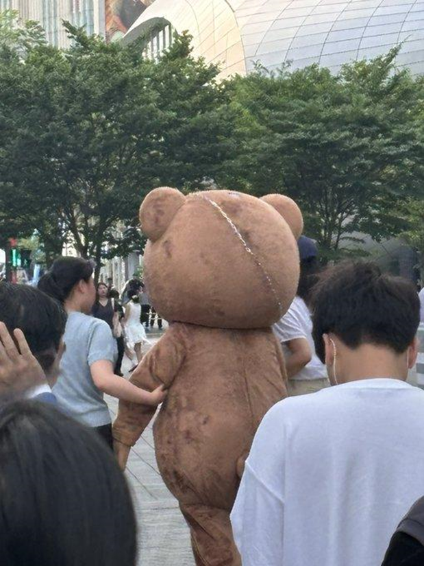 한여름에 극한직업인 아이돌 스케쥴 따라다니는 곰돌이 | 인스티즈