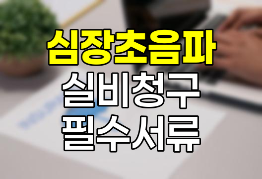 심장초음파 검사 실비청구 필수 서류와 절차