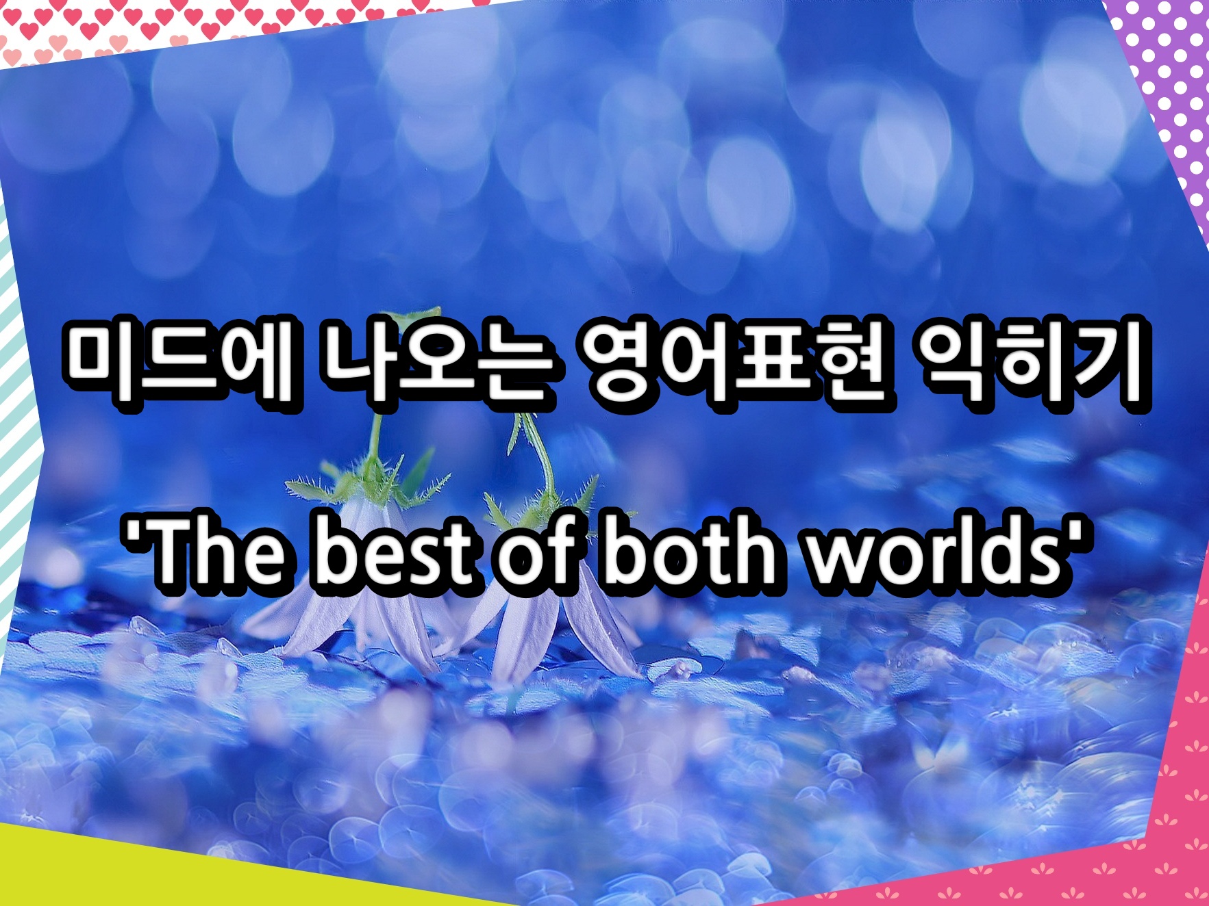 미드에 나오는 영어표현 익히기 &#39;The best of both worlds&#39;