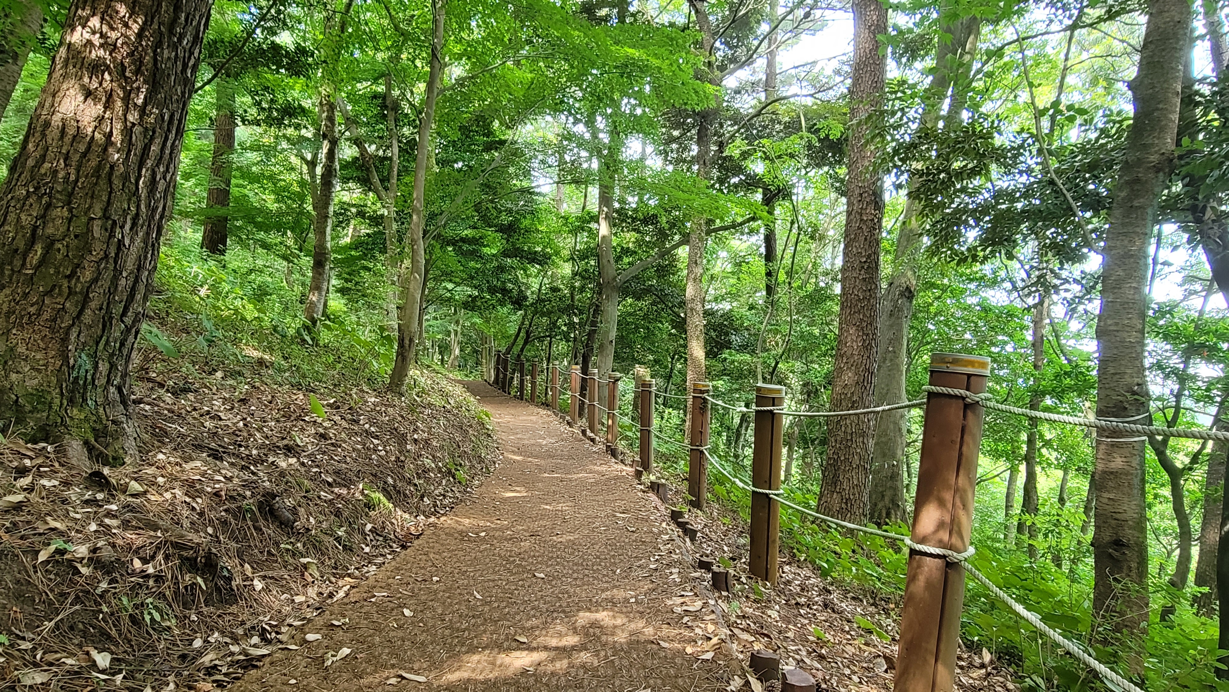 제주한라수목원