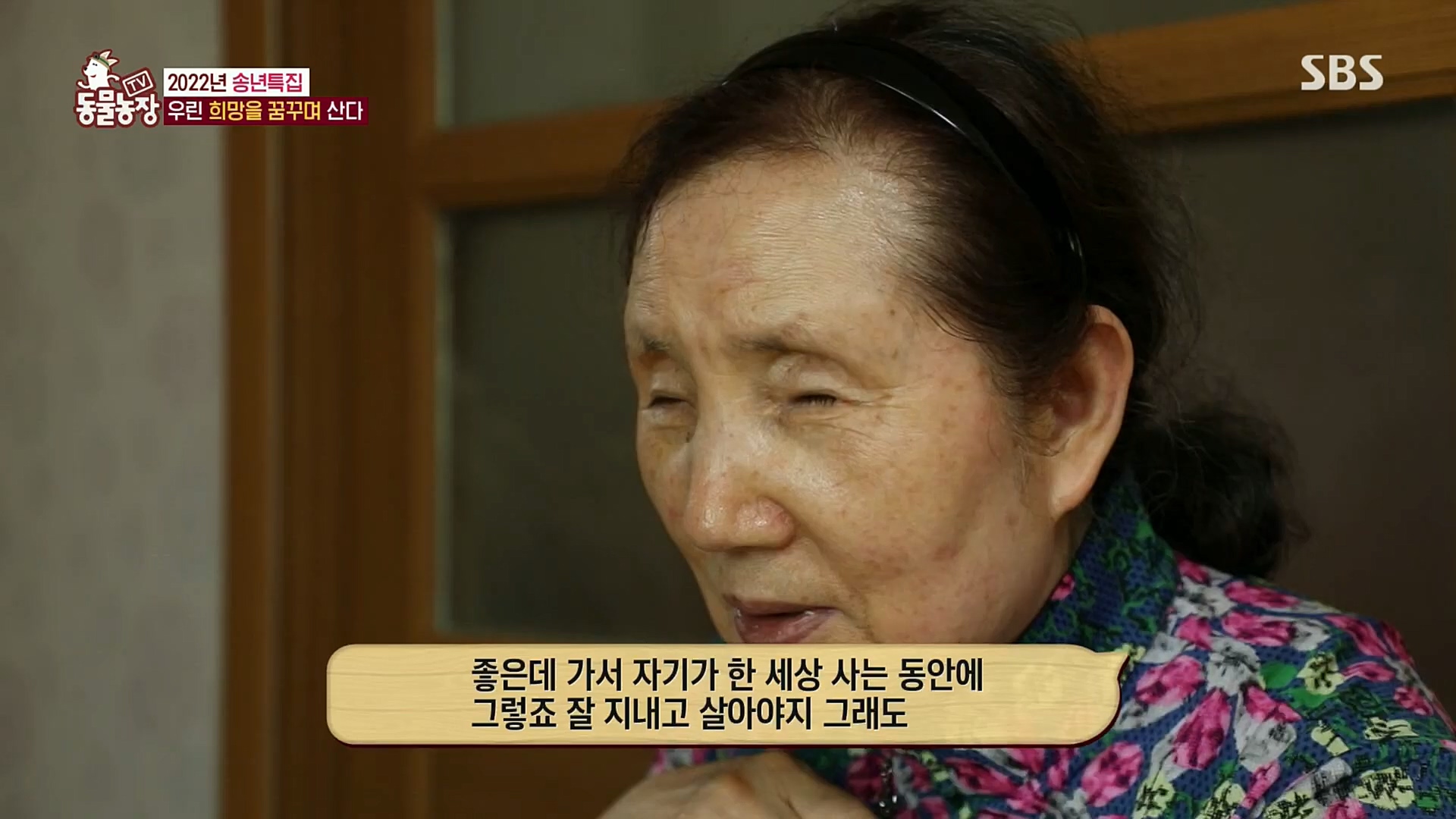 TV 동물농장.E1101.221225p.H264-F1RST.mp4_20221225_190305.868.jpg