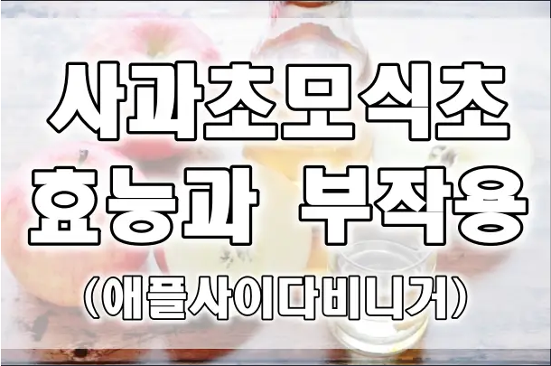  사과초모식초 효능 7가지 (애플사이다비니거)