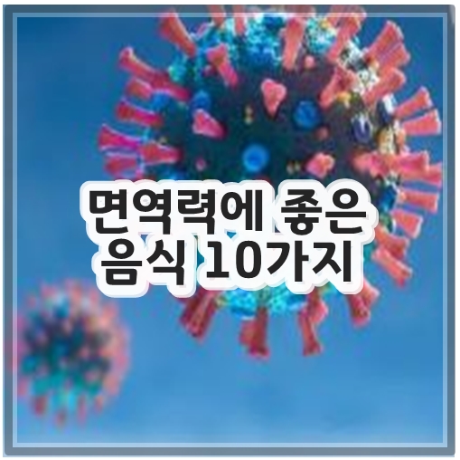 면역력에 좋은 음식 10가지