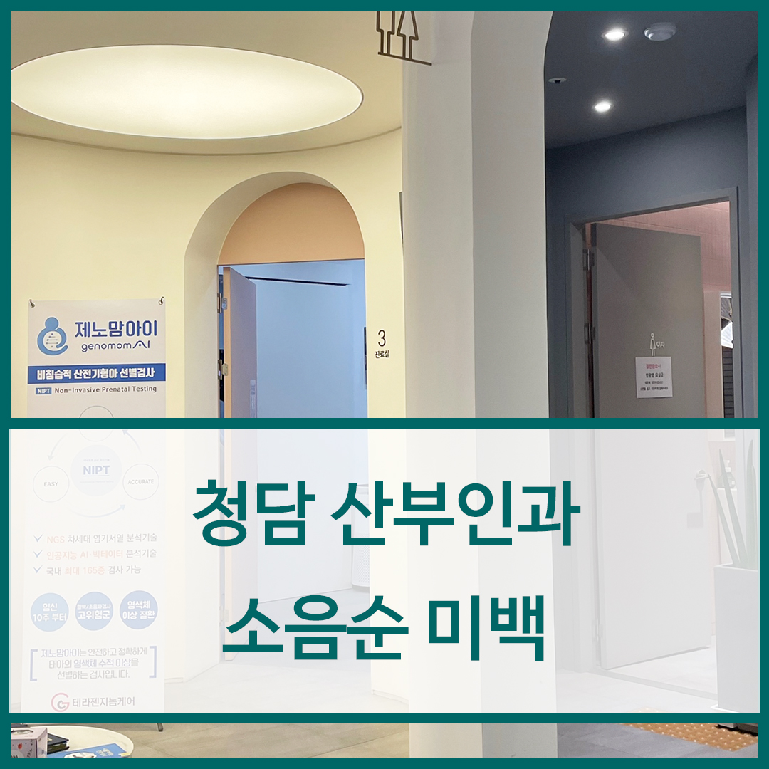 청담 산부인과 소음순성형수술로 소음순미백 효과도 있나요?