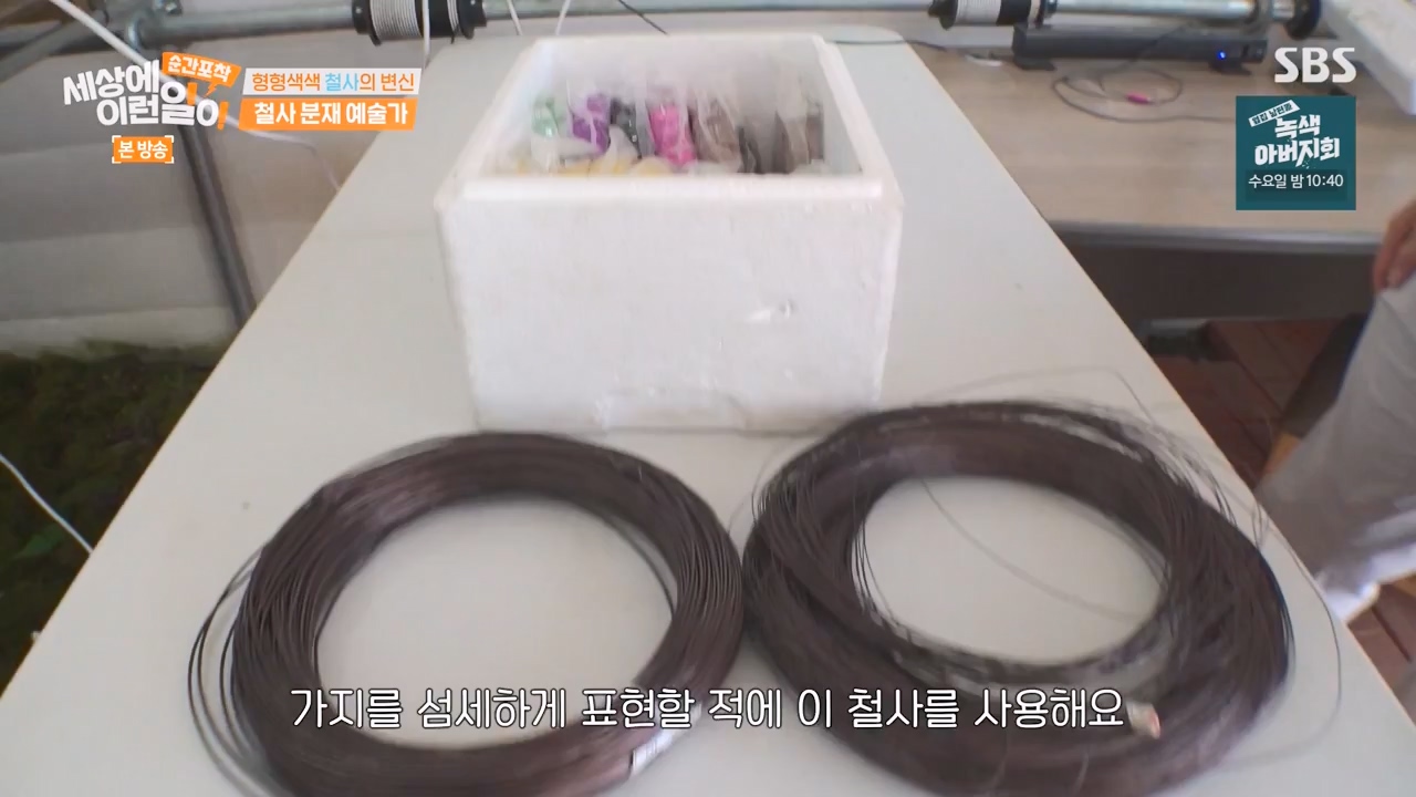 순간포착 세상에 이런일이.E1250.231029p-NEXT.mp4_20231029_153409.833.jpg