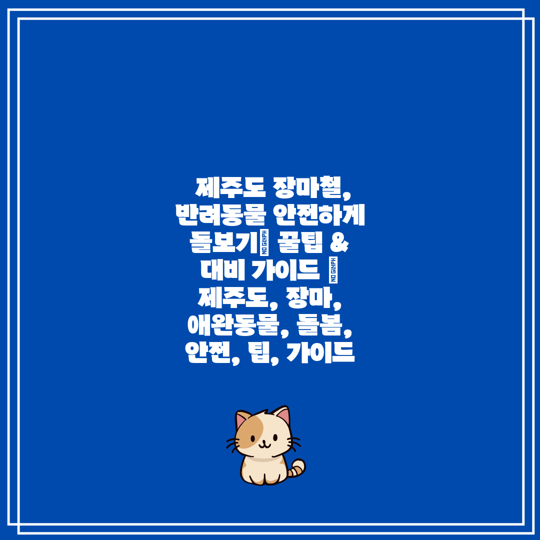 제주도 장마철, 반려동물 안전하게 돌보기 꿀팁 & 대