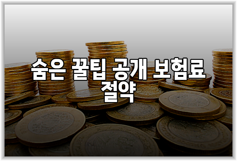 숨은 꿀팁 공개 보험료 절약