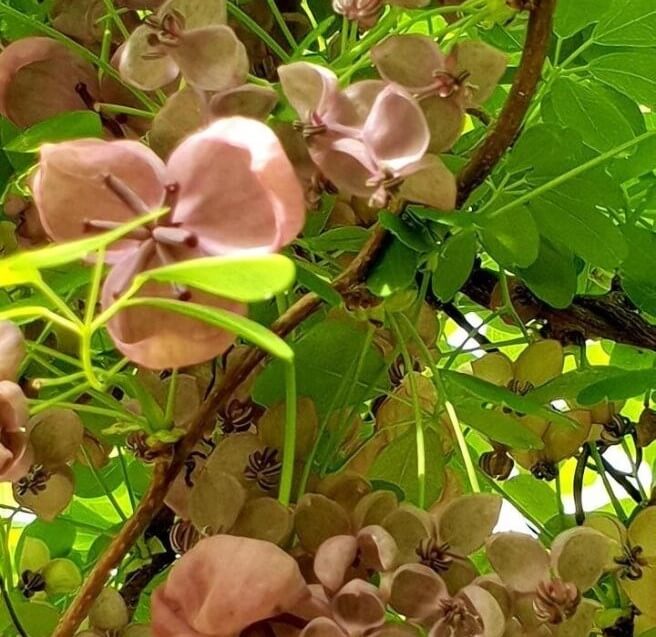 으름9