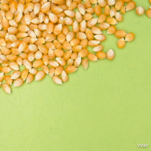 corn