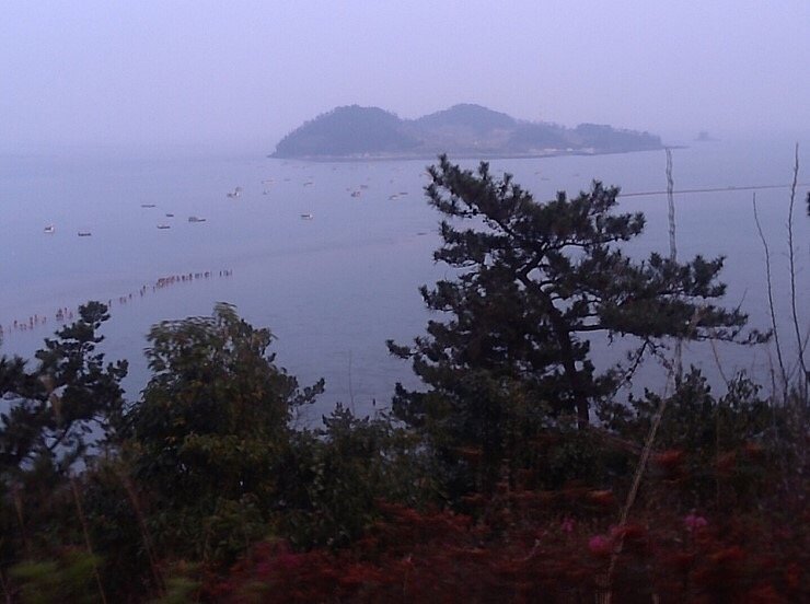  진도 진도의바닷길&먹거리