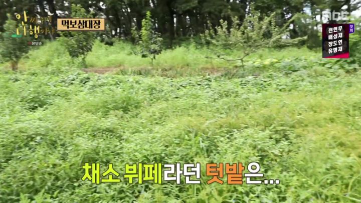  안싸우면 다행이야 112회.230220.2160p.mp4.torrent