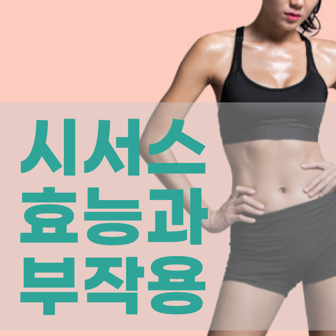 시서스 효능 시서스가루 효능과 부작용