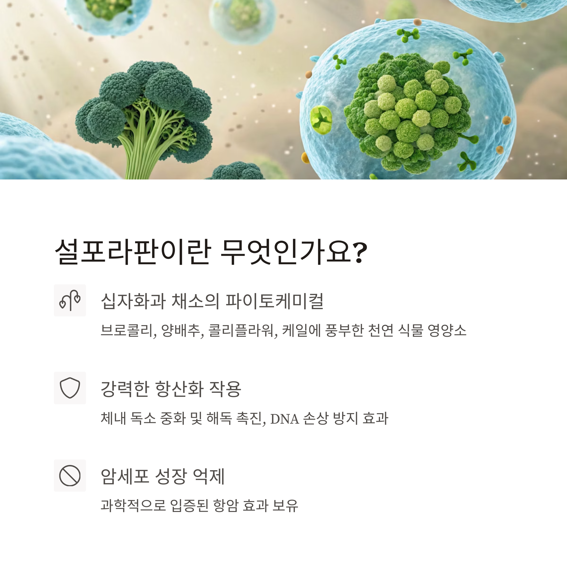 설포라판