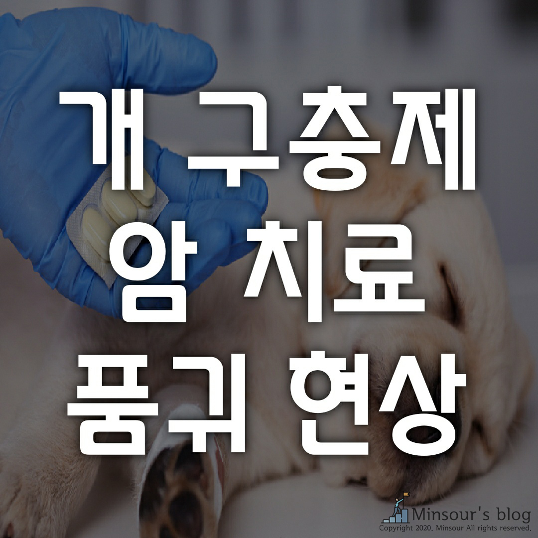  개 구충제 '펜벤다졸' 효능과 암 치료 사례! 조 티펜스, 개그맨 김철민 근황