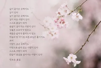 봄 시 모음 이해인 나태주 명시 모음_10