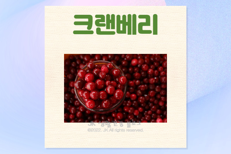  크랜베리 효능 및 크렌베리 원액 주스 부작용