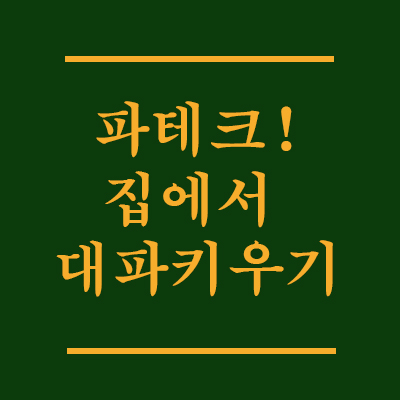  파테크? 집에서 대파키우기. 누구나 할 수 있어요!
