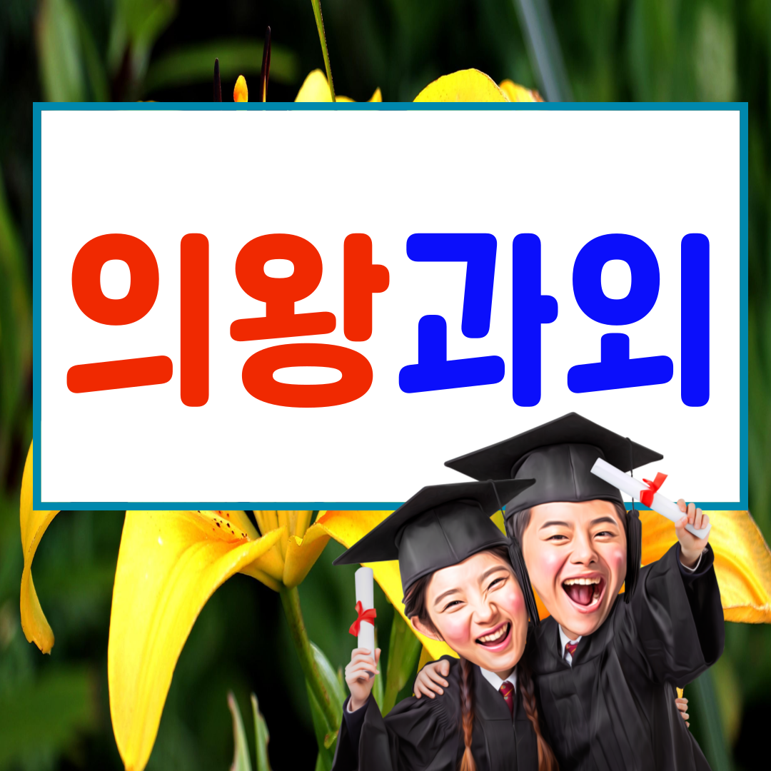  의왕 내손동 영어과외 포일동 중등 수학과외 고등 사회 과학