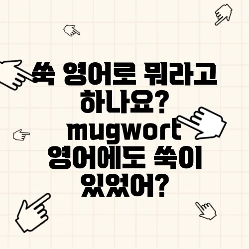 쑥 영어로 뭐라고 하나요? mugwort 영어에도 쑥이 있었어?