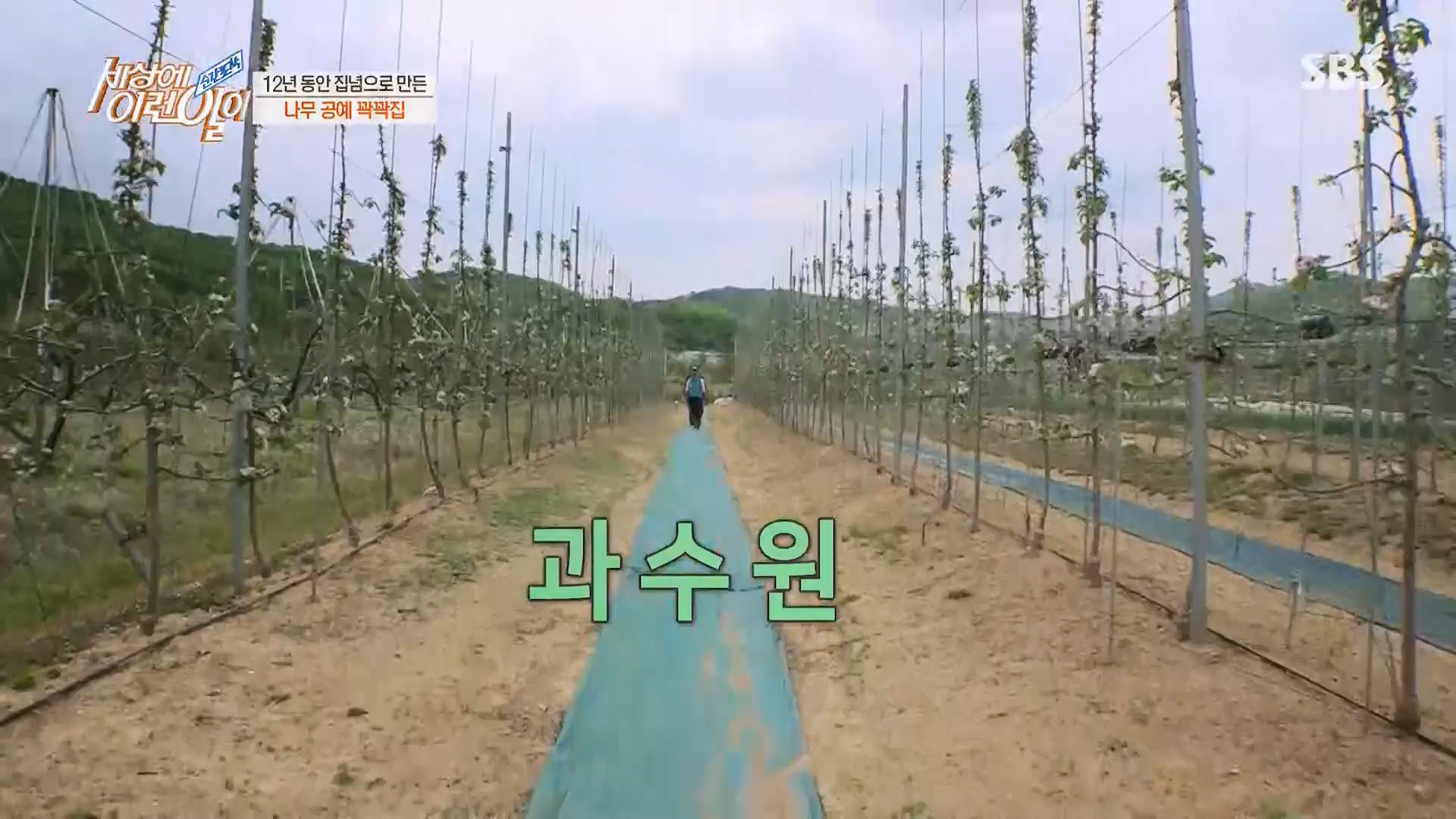 순간포착 세상에 이런일이.E1230.230516p.H264-F1RST.mp4_20230517_193656.733.jpg