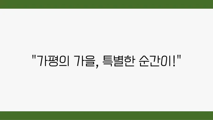 가평의 가을, 자라섬 재즈페스티벌에서 만난 2024년 마지막 추억!