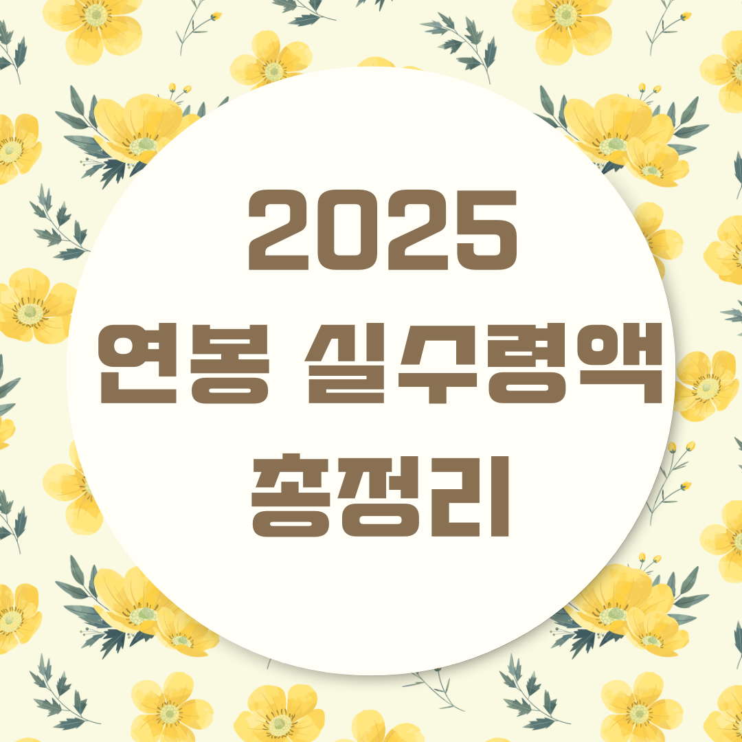 2025년 연봉 실수령액 총정리