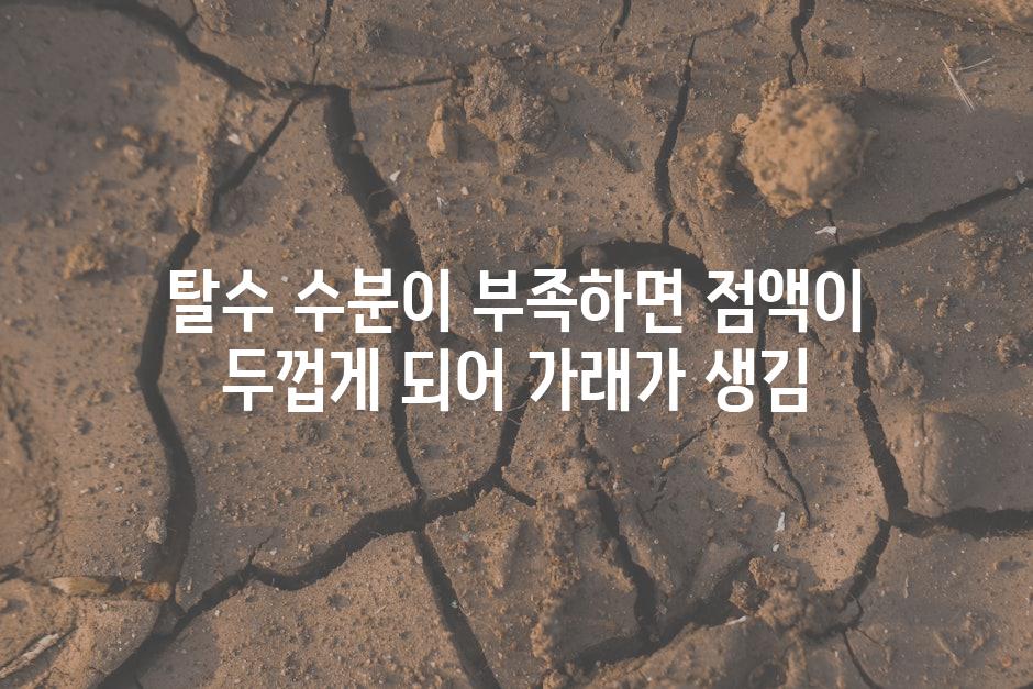 탈수 수분이 부족하면 점액이 두껍게 되어 가래가 생김