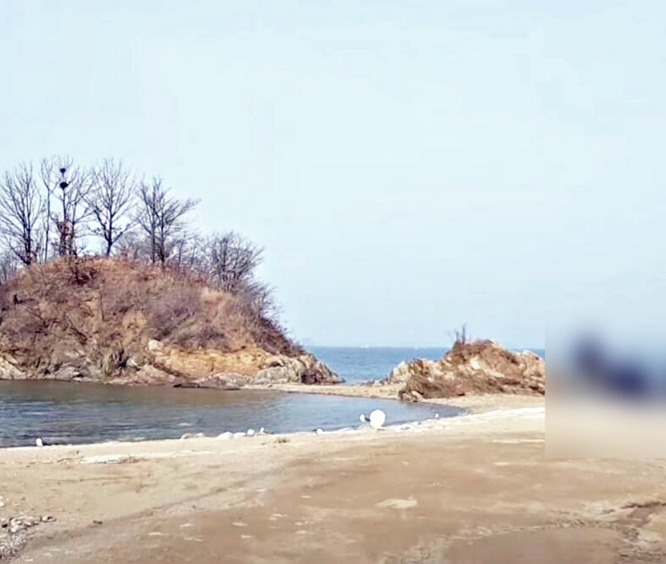 노지-캠핑