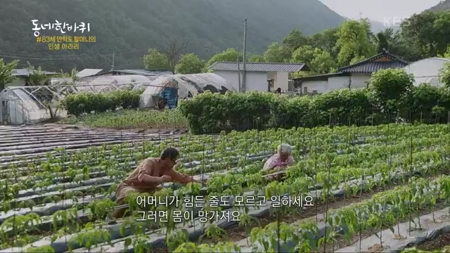 [227회] 동네 한 바퀴 - KBS.ts_20230802_212347.669.jpg