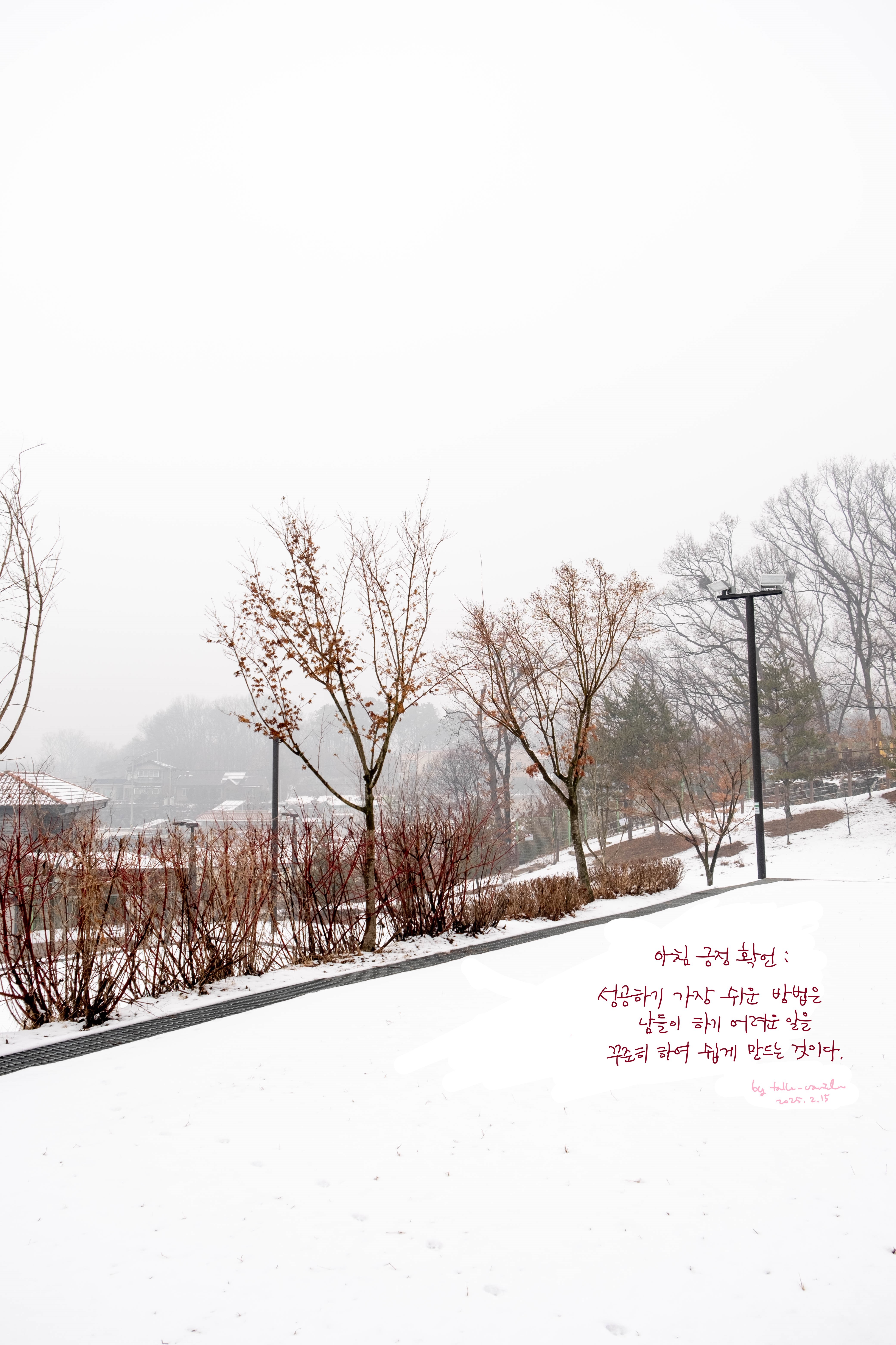 아침-긍정-확언