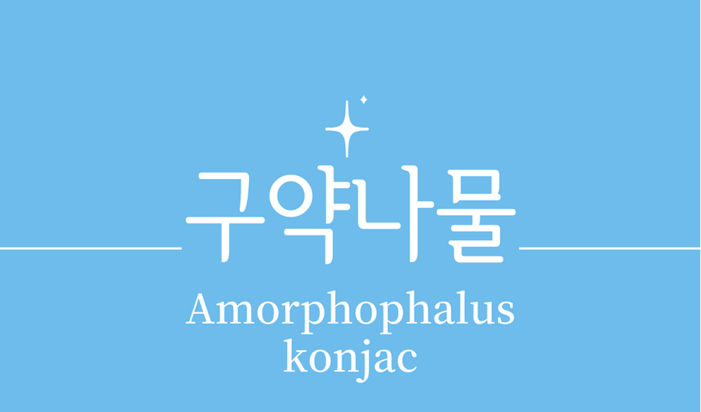 &#39;구약나물(Amorphophalus konjac)&#39;