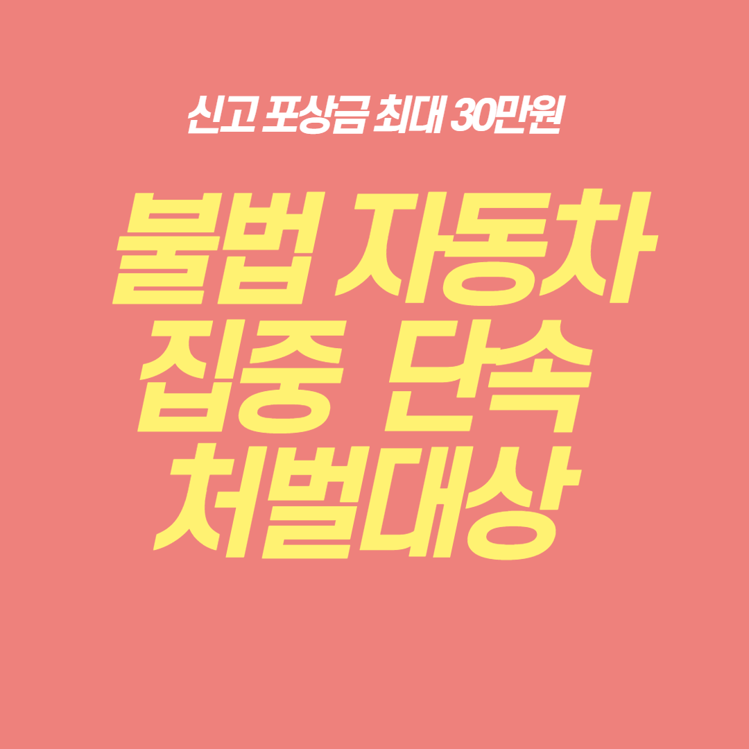  불법 자동차 집중 단속 처벌 대상 및 신고포상금 받는 방법