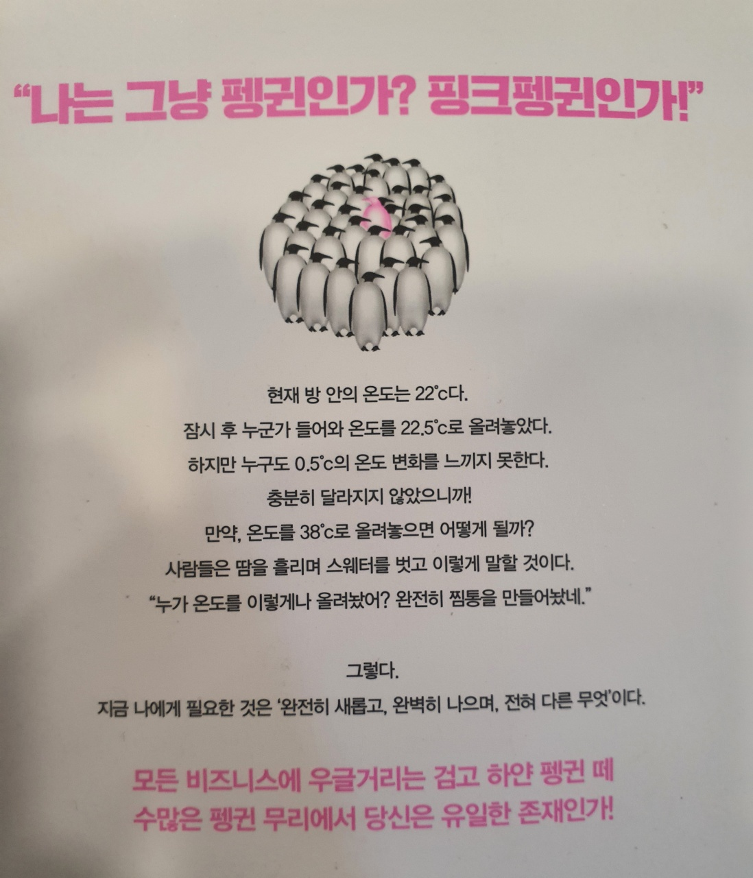 핑크빌 이미지