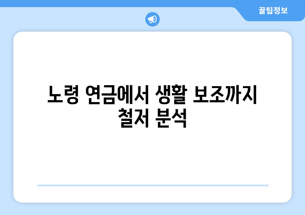 노령 연금에서 생활 보조까지, 철저 분석