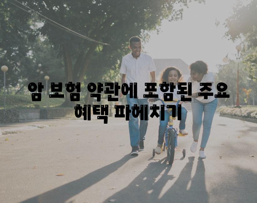 암 보험 약관에 포함된 주요 혜택 알아보기