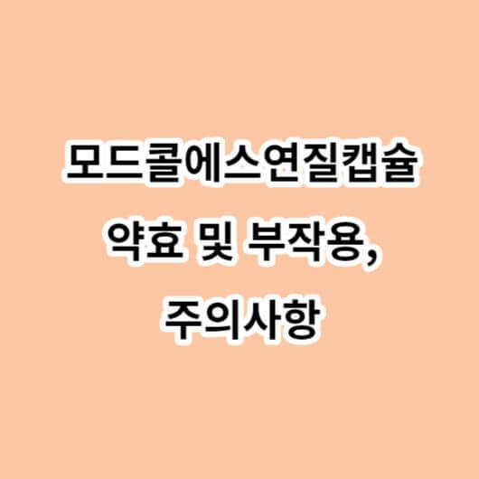 모드콜에스연질캡슐-약효-부작용-주의사항