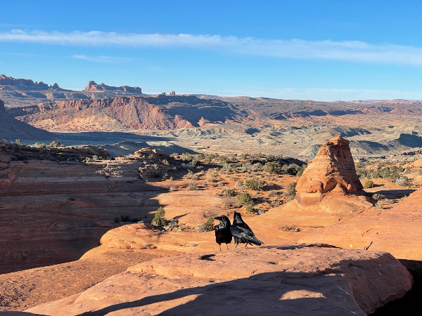 delicate arch&#44; arches national park