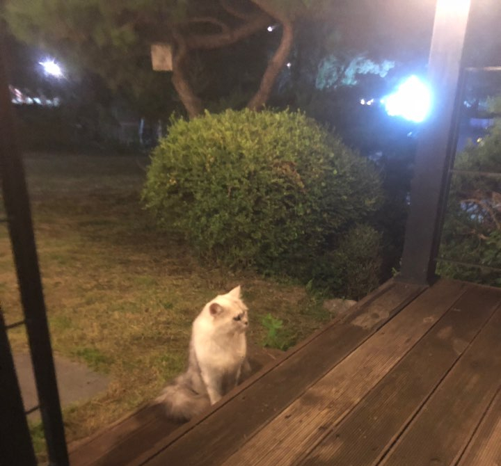 카페 르망 이미지