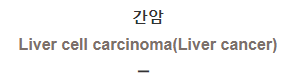  간암 [Liver cell carcinoma(Liver cancer)]