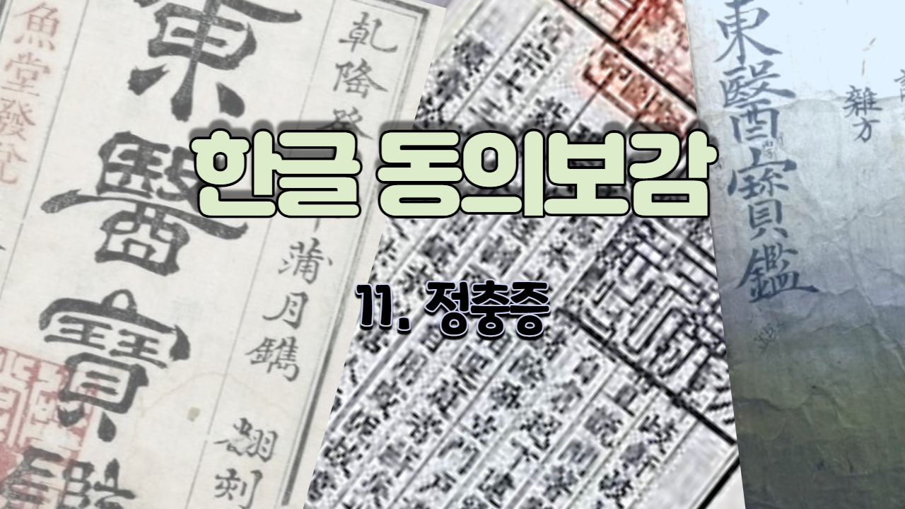  11. 정충증 ( 내경편 신 )