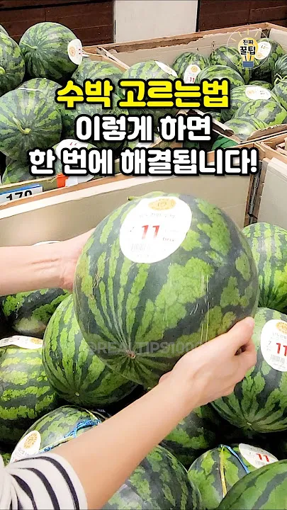 맛있는 수박 고르는법 5가지 feat 좋은 수박 암수 구별법_5