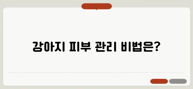 강아지 피부 문제를 해결하는 방법! 마이펫닥터 피부사료를 추천합니다.