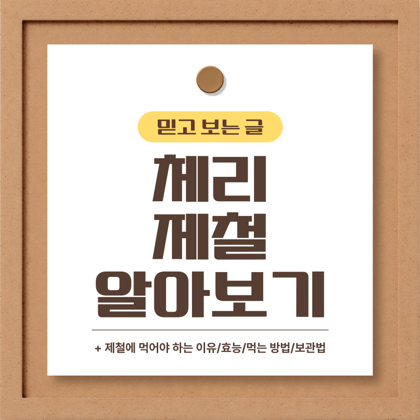  체리 제철 알아보기