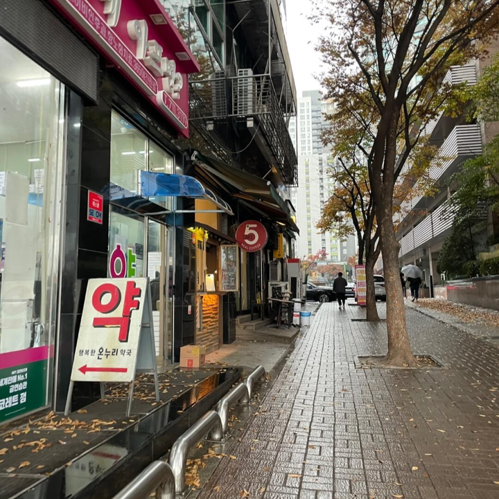 코이라멘-정자동