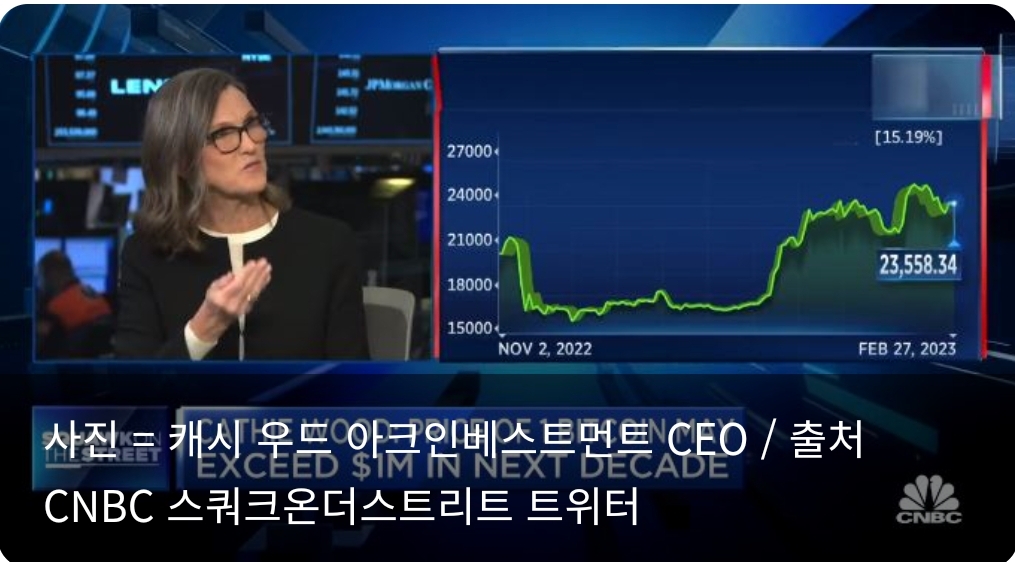  캐시 우드 "비트코인.이더리움, 많은 기업 파산에서 정상 궤도 유지"