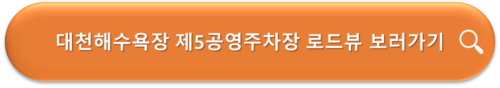 대천해수욕장 제5공영주차장 로드뷰