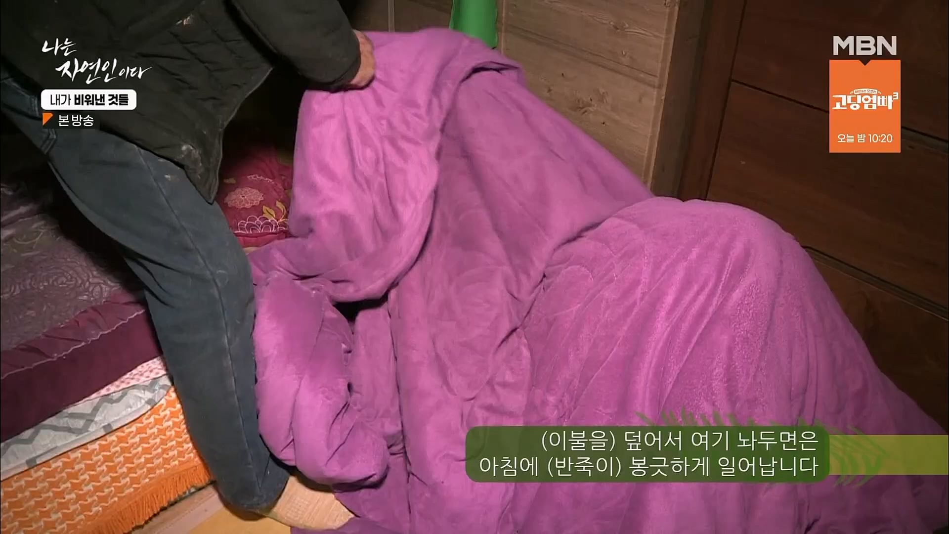 나는 자연인이다.E543.230301p.H264-F1RST.mp4_20230302_192652.164.jpg