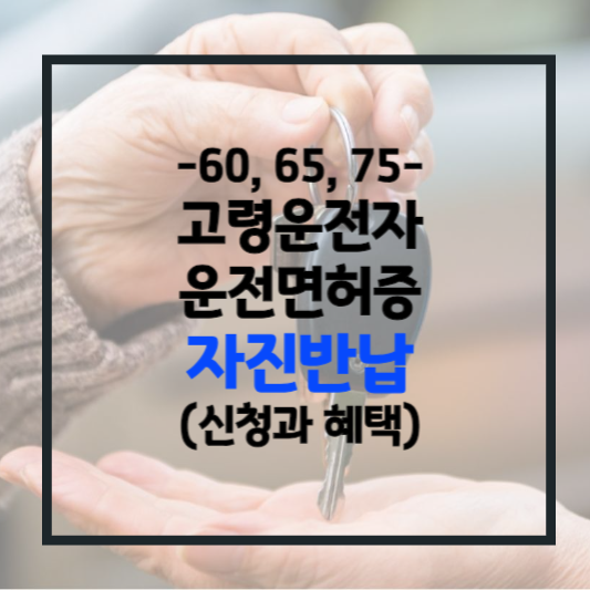 고령운전자 면허증 반납 혜택