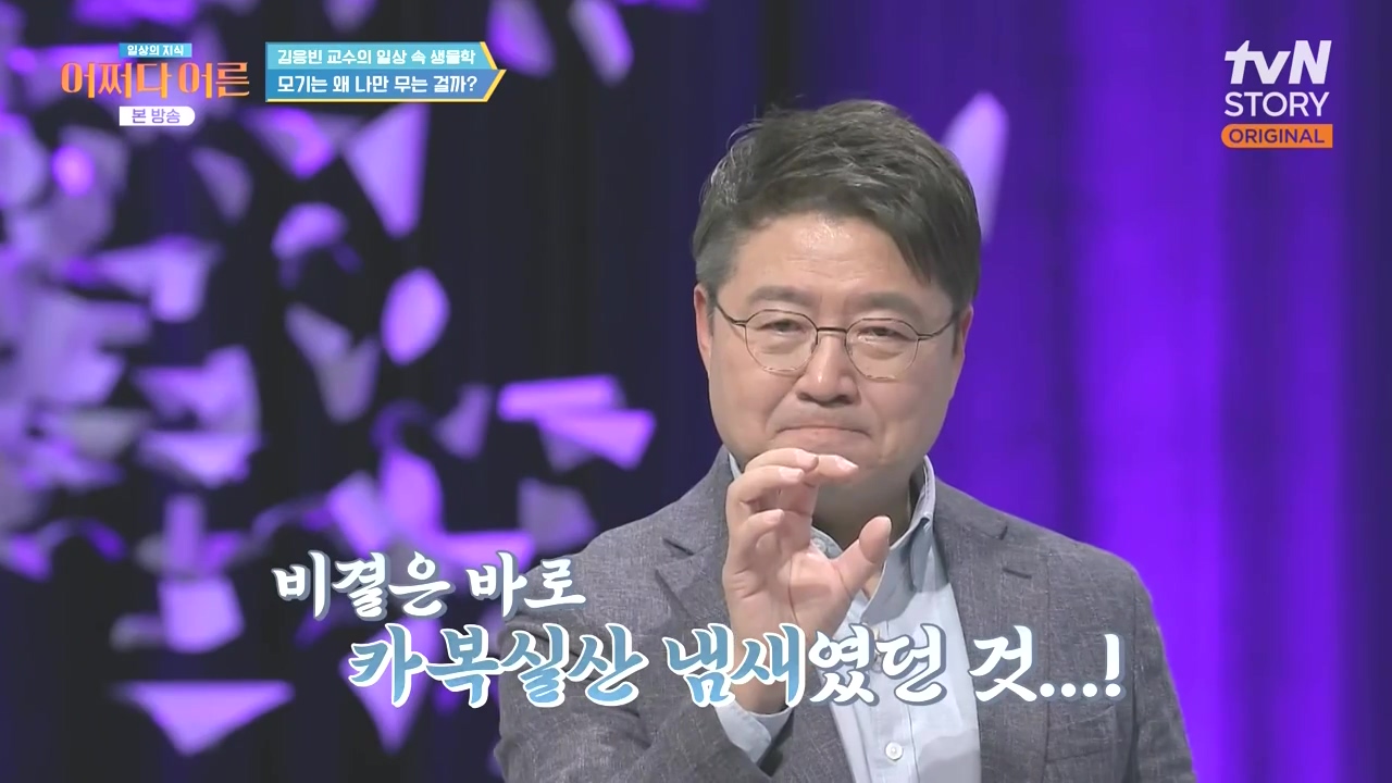 어쩌다 어른.E51.240410p-NEXT.mp4_20240410_173709.013.jpg