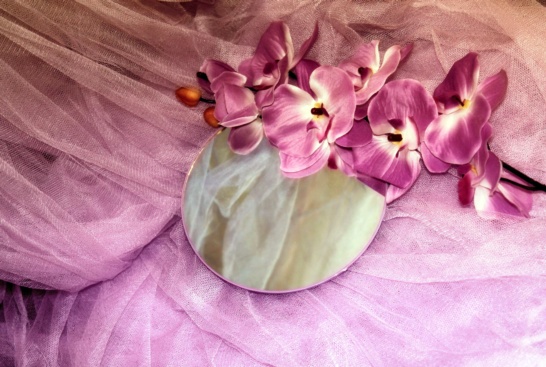 핑크빗꽃거울